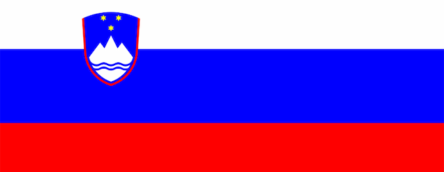 Slovenia Women artwork 2