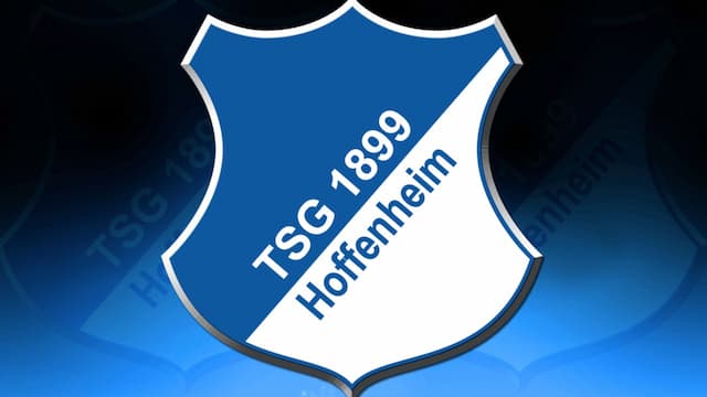 Hoffenheim artwork 5