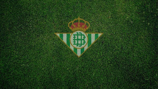 Betis artwork 5
