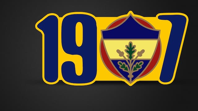 Fenerbahce artwork 5