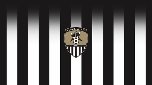 Notts County artwork 5