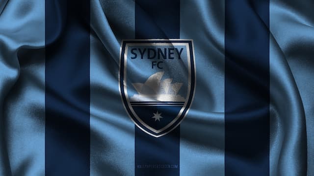 Sydney FC artwork 5