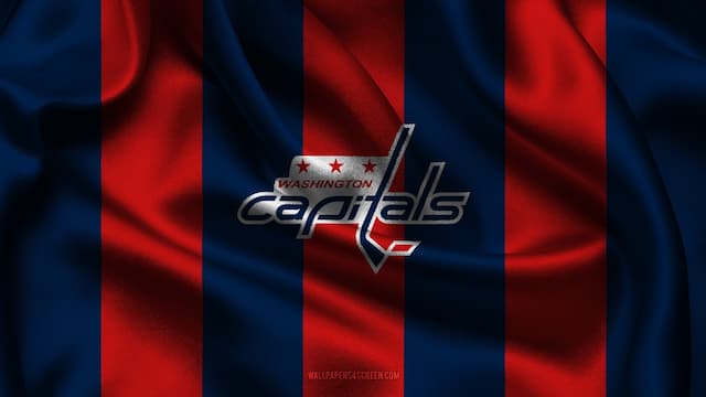 Washington Capitals artwork 5