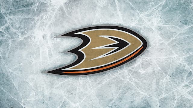 Anaheim Ducks artwork 5
