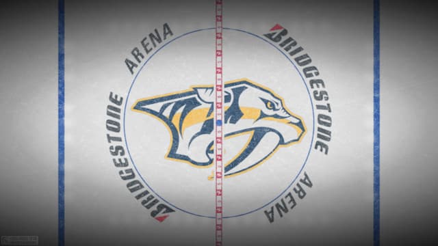Nashville Predators artwork 5