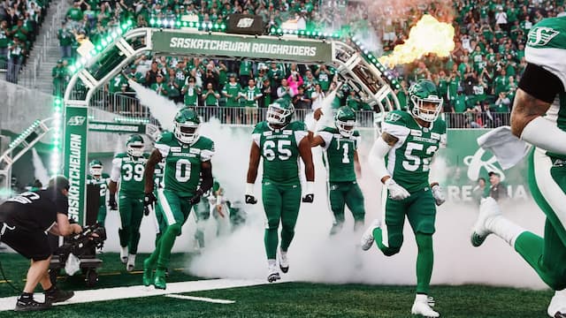 Saskatchewan Roughriders artwork 5