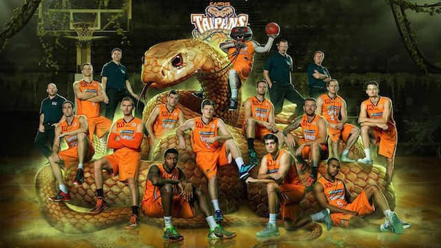 Cairns Taipans artwork 5