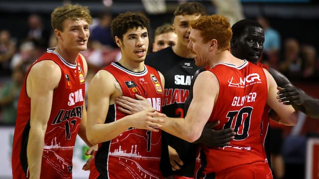 Illawarra Hawks artwork 5