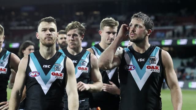 Port Adelaide Football Club artwork 5