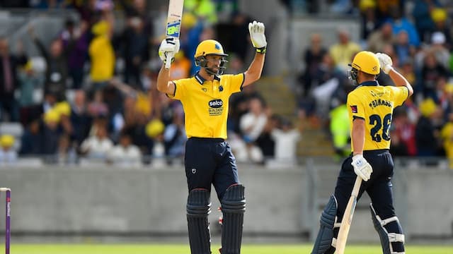 Birmingham Bears artwork 5