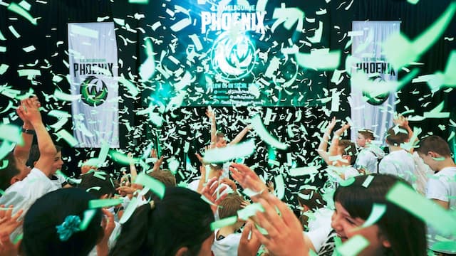 South East Melbourne Phoenix artwork 5