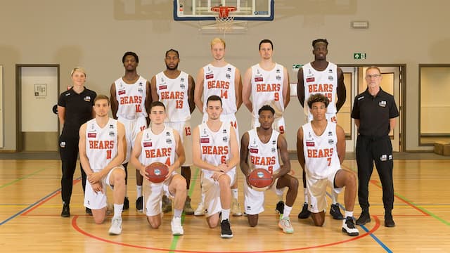 Leuven Bears artwork 5