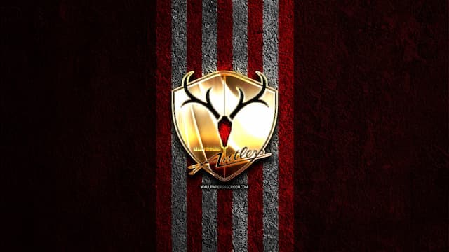 Kashima Antlers artwork 3