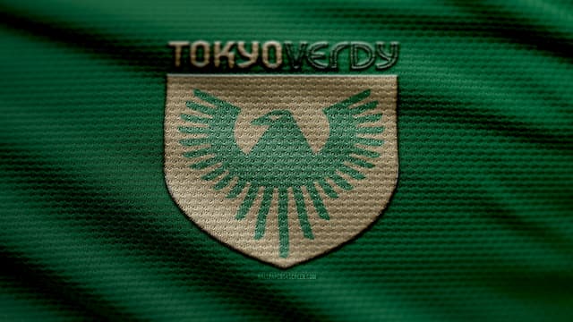 Tokyo Verdy artwork 3