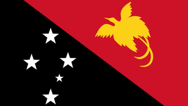 Papua New Guinea artwork 3