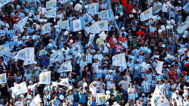 Magallanes artwork 2