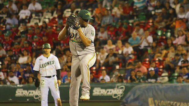 Pericos de Puebla artwork 5