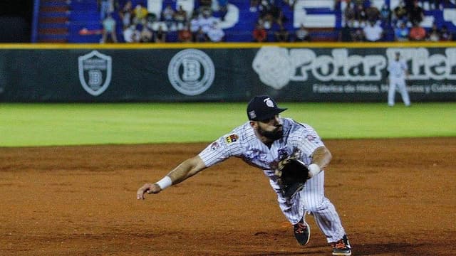 Tigres de Quintana Roo artwork 5