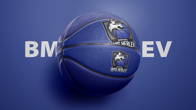 BMS Herlev artwork 2