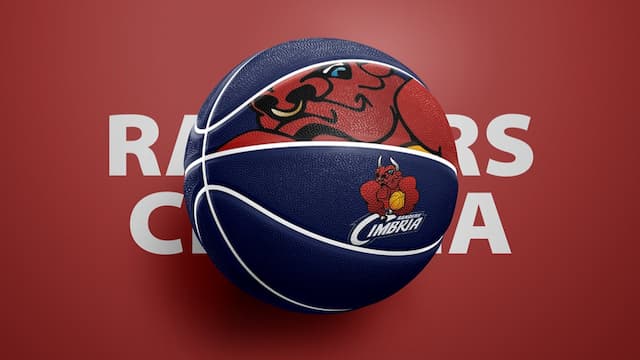 Randers Cimbria artwork 2