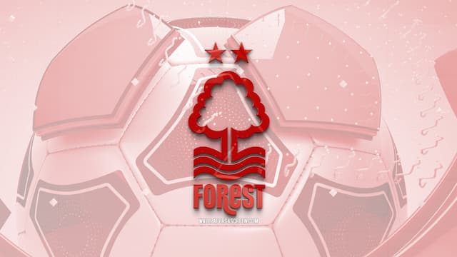 Nottingham Forest artwork 6