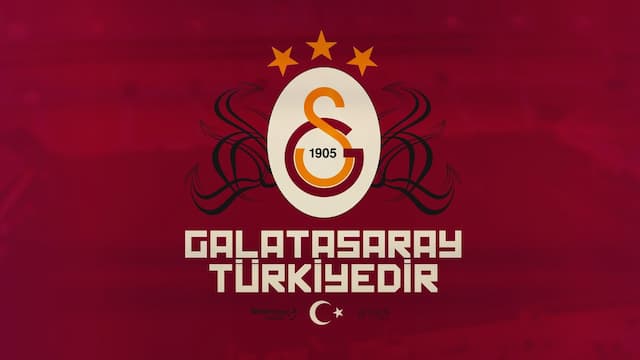 Galatasaray artwork 6