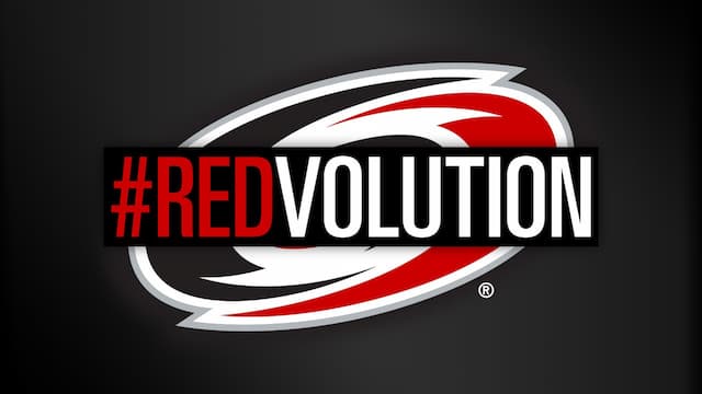 Carolina Hurricanes artwork 6