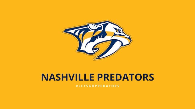 Nashville Predators artwork 6