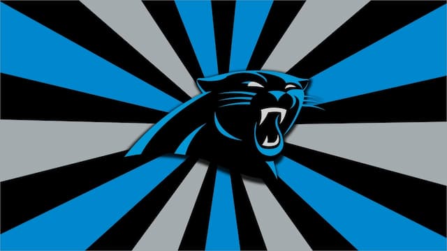 Carolina Panthers artwork 6
