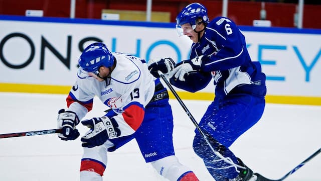 Linköpings HC artwork 6