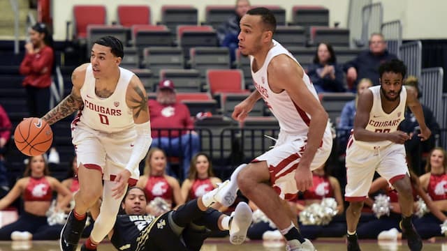 Washington State artwork 5