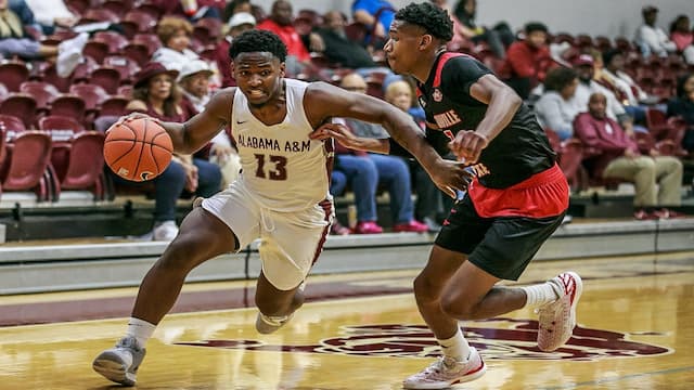 Alabama A and M artwork 6