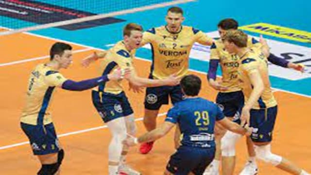 BluVolley Verona artwork 4