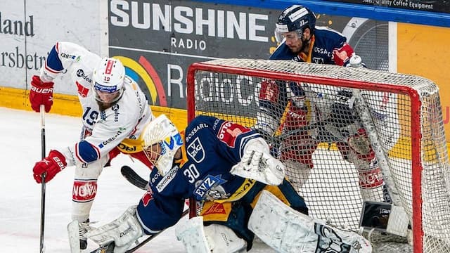 Rapperswil artwork 6