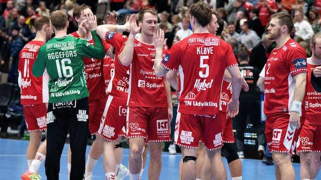 Aalborg Håndbold artwork 6