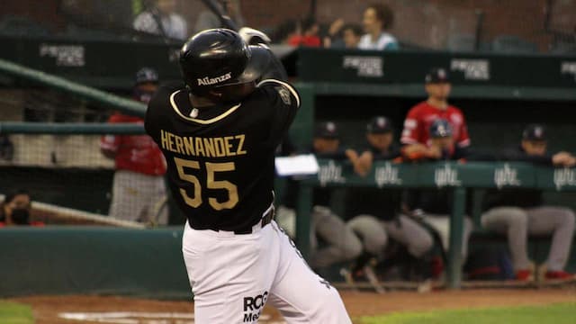 Saraperos de Saltillo artwork 6