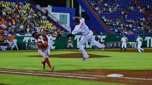 Tigres de Quintana Roo artwork 6