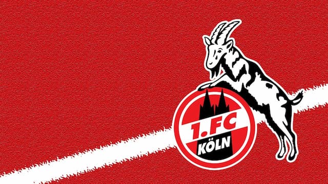 FC Koln artwork 7