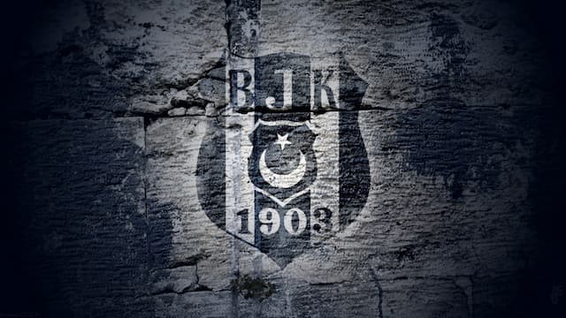 Besiktas artwork 6