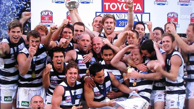 Geelong Football Club artwork 7
