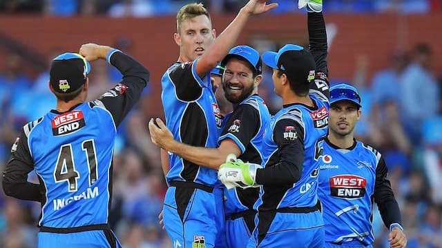 Adelaide Strikers artwork 7