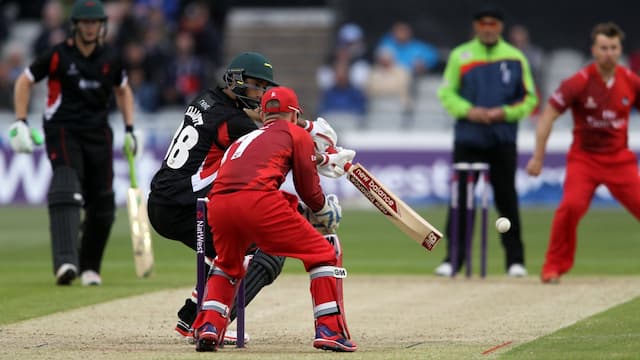 Leicestershire Foxes artwork 7