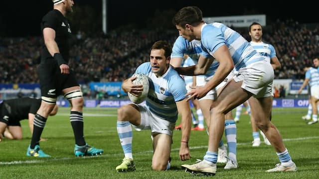 Argentina Rugby artwork 7