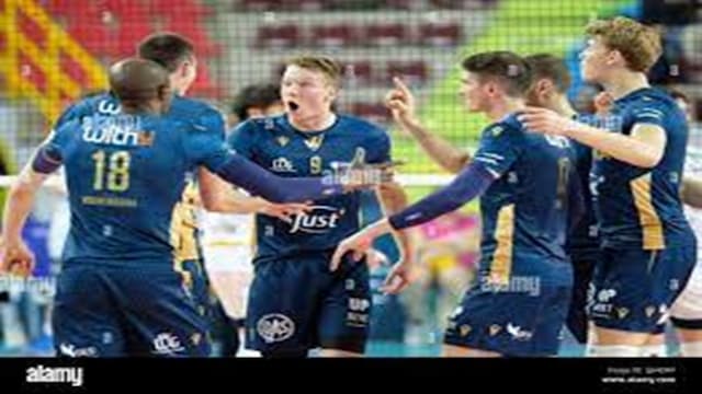 BluVolley Verona artwork 5