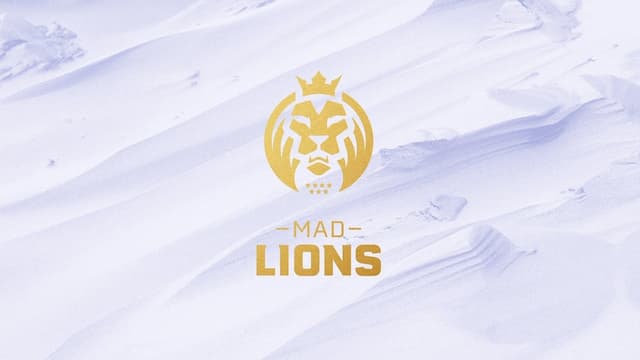MAD Lions artwork 7