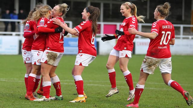 Bristol City WFC artwork 7