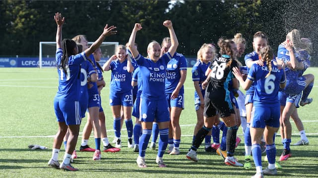 Leicester City WFC artwork 7