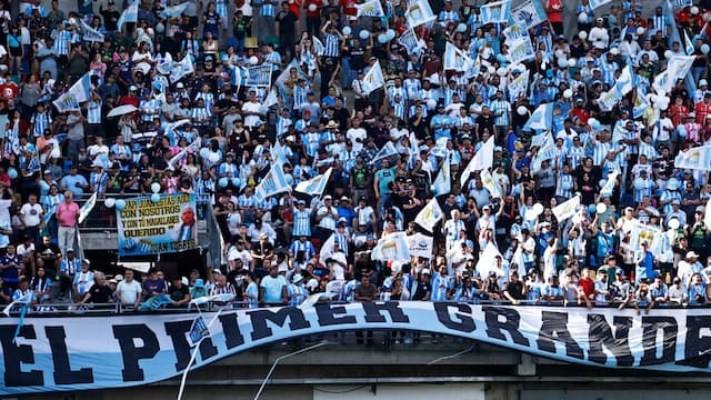 Magallanes artwork 4