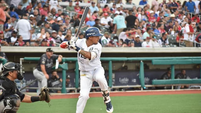 Tecolotes de los Dos Laredos artwork 7