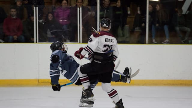 Botany Swarm artwork 4